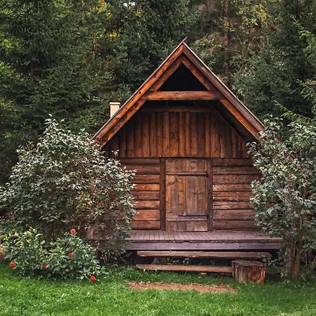 Bed & Breakfast Dom Wypoczynkowy Stoch Madry 3*